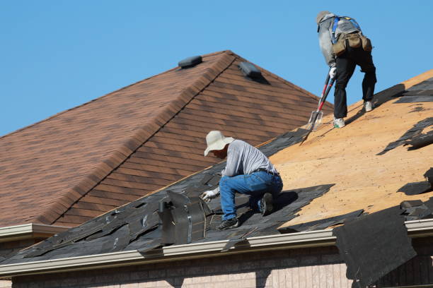 Best Roof Insulation Installation  in Bayou Vista, TX