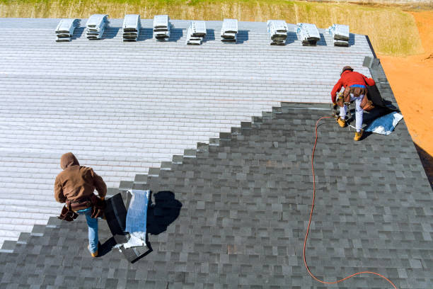 Best Roof Ventilation Installation  in Bayou Vista, TX